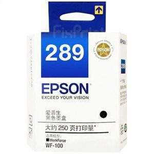 Print Cart Epson T289 Black